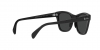RB0707S Sunglasses