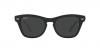 RB0707S Sunglasses