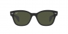 RB0880S Sunglasses