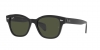 RB0880S Sunglasses