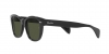RB0880S Sunglasses