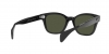 RB0880S Sunglasses