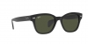 RB0880S Sunglasses