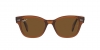 RB0880S Sunglasses