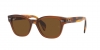 RB0880S Sunglasses