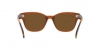 RB0880S Sunglasses