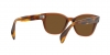 RB0880S Sunglasses