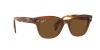 RB0880S Sunglasses