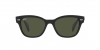 RB0880S Sunglasses
