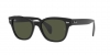 RB0880S Sunglasses