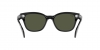 RB0880S Sunglasses