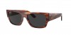 RB0947S Carlos Sunglasses