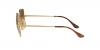 RB1971 Square Sunglasses