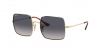 RB1971 Square Sunglasses