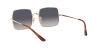 RB1971 Square Sunglasses