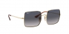 RB1971 Square Sunglasses