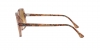 RB1973 Square Ii Sunglasses
