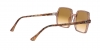 RB1973 Square Ii Sunglasses
