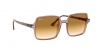 RB1973 Square Ii Sunglasses