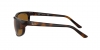 RB2027 Predator 2 Sunglasses