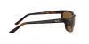 RB2027 Predator 2 Sunglasses