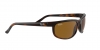 RB2027 Predator 2 Sunglasses