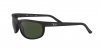 RB2027 Predator 2 Sunglasses