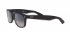 RB2132F New Wayfarer Sunglasses