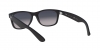 RB2132F New Wayfarer Sunglasses