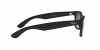 RB2132F New Wayfarer Sunglasses