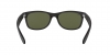 RB2132F New Wayfarer Sunglasses