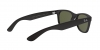 RB2132F New Wayfarer Sunglasses