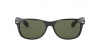 RB2132F New Wayfarer Sunglasses