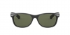 RB2132F New Wayfarer Sunglasses
