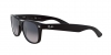RB2132 New Wayfarer Sunglasses