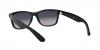 RB2132 New Wayfarer Sunglasses