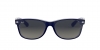 RB2132 New Wayfarer Sunglasses