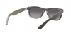 RB2132 New Wayfarer Sunglasses