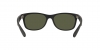RB2132 New Wayfarer Sunglasses