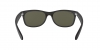 RB2132 New Wayfarer Sunglasses