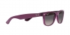 RB2132 New Wayfarer Sunglasses