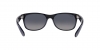RB2132 New Wayfarer Sunglasses