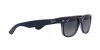 RB2132 New Wayfarer Sunglasses
