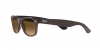 RB2132 New Wayfarer Sunglasses