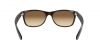 RB2132 New Wayfarer Sunglasses