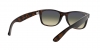 RB2132 New Wayfarer Sunglasses