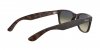 RB2132 New Wayfarer Sunglasses