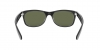 RB2132 New Wayfarer Sunglasses