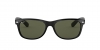 RB2132 New Wayfarer Sunglasses