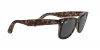 RB2140 Wayfarer Sunglasses